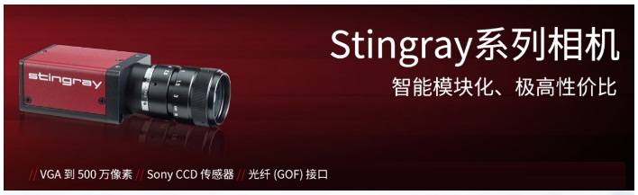 AVT工業(yè)相機(jī)工業(yè)攝像機(jī)，CCD德國 AVT1394 接口面陣工業(yè)相機(jī)