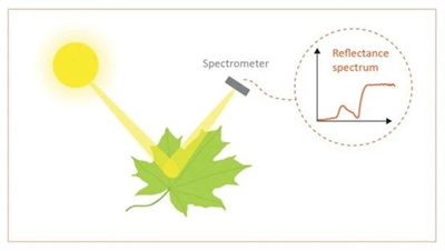 高光譜相機(jī)工作原理